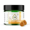 Immunity Boost CBD Sour Gummies 300mg