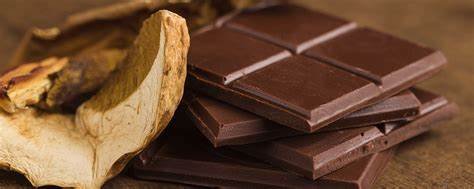 Mushroom Chocolate Edibles