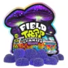 Grape Field Trip Psychedelic Mushroom Gummies